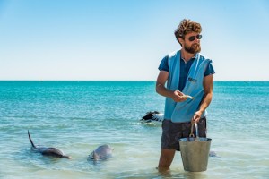 A marine biologist stands in knee-high ocean water surrounded by dolphins.