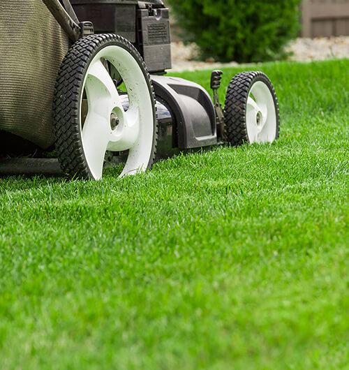 Dan started his own lawn services company